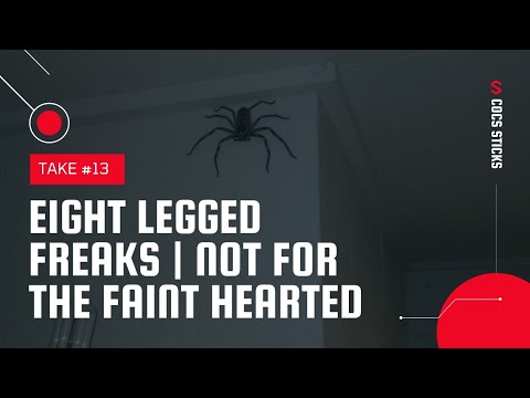 Eight Legged Freaks! ***WARNING - NOT FOR THE FAINT HEARTED***