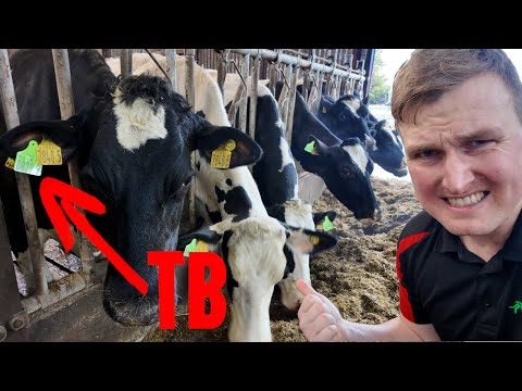 Our Worst TB Test Ever | A Total Failure of Government Policy