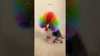 Download lagu ##😻enna😺 vilai😺 Azhagu 😻 love song 😺 whatsapp 😻## mp3 Download lagu ##😻enna😺 vilai😺 Azhagu 😻 love song 😺 whatsapp 😻## mp3