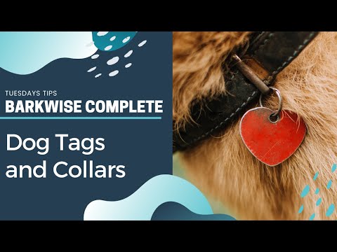 ultimate bark control reviews