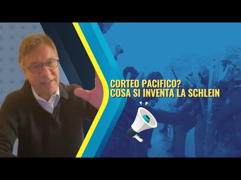 “Corteo Pro-Pal pacifico”. Schlein, ma che dici? - Zuppa di Porro