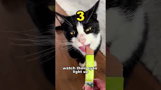 Download lagu 5 ways to say I love you to your cat !! mp3