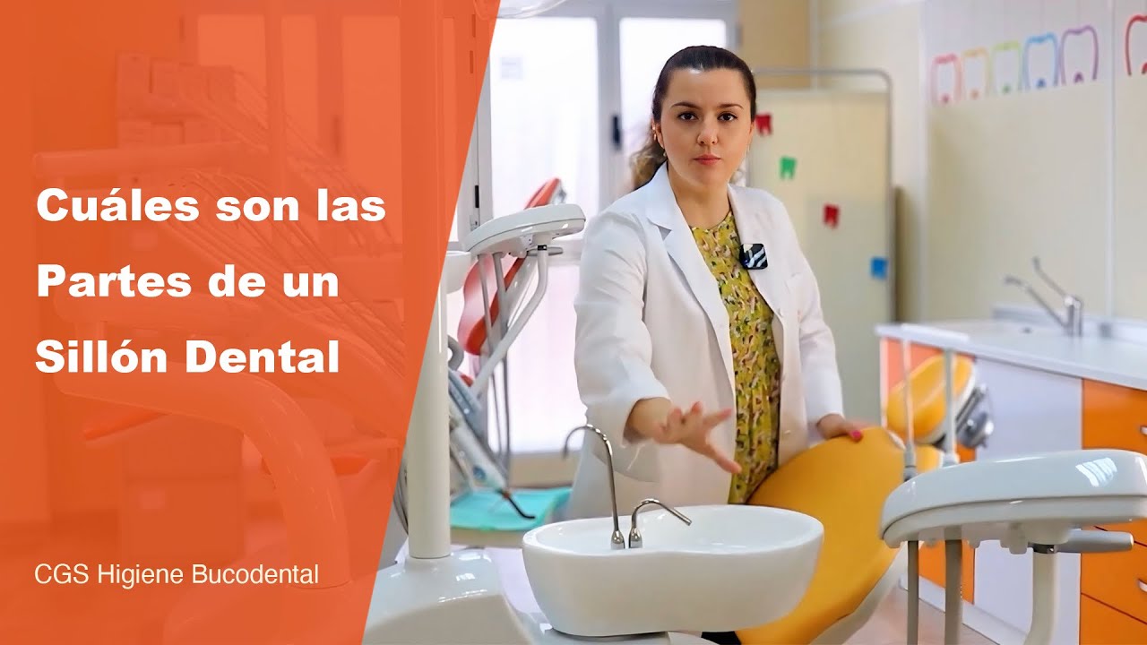 Partes del sillón dental