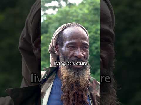 Hear what the lion has to say #jamaica #rastafari #rasta #fire #lion #wisdom #beliefs