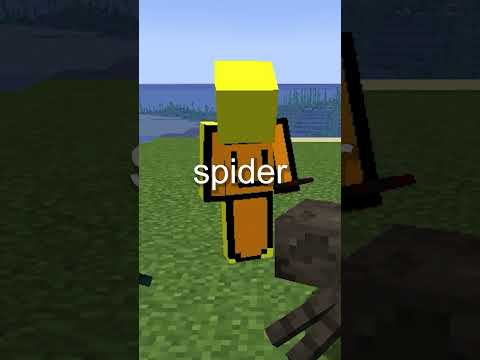 What Is The Spider In Minecraft?