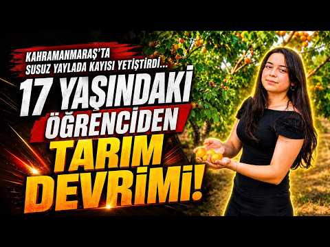 Kahramanmaraş'ta Susuz Yaylada Kayısı Yetiştirdi… 17 Yaşındaki Öğrenciden Tarım Devrimi!