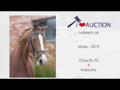 Tarnikey SR show video