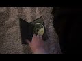 Cj7 Dvd Overview