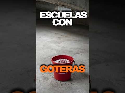 ENUNCIA a la DGE: chicos con discapacidad entre baldes y goteras