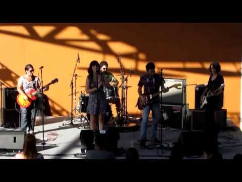 Pousatigres - Banho e Tosa