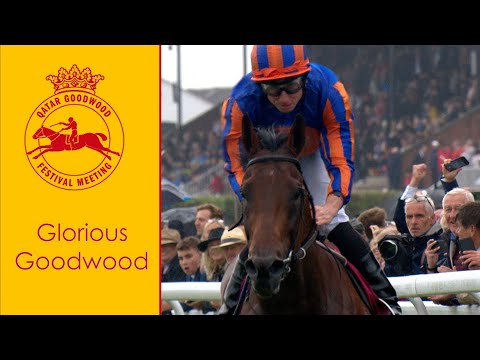 Peerless Paddington has all the answers in 2023 Qatar Sussex Stakes