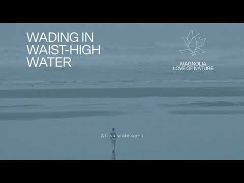 Fleet Foxes - "Wading In Waist-High Water" (Lyric Video)