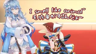 Polka smells like a wild animal???【Hololive】