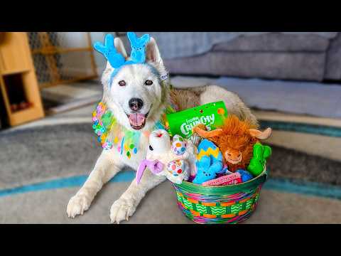 Gone to the Snow Dogs preview