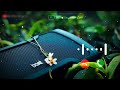 Best World Ringtone 2022 ️New Flute Ringtone 2022