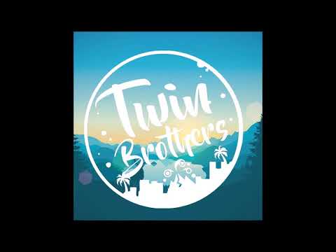 FREDIIX STAYAMAN x TWIN BROTHERS - FOU DE OU ( EXTENTED REMIX ) 2017