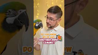 Do You Know We've Got Another Bird Coming?