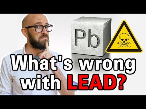 Why is Lead Bad For Humans? Video