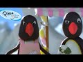 Pingu Carried Away Penguin Pingu Official Channel Cartoons For Kids
