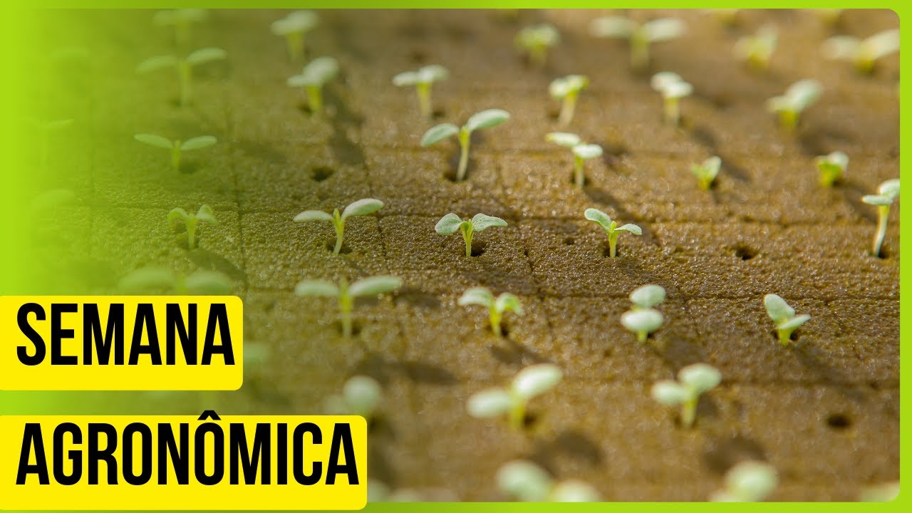 XX Semana Agronômica da UFJ.