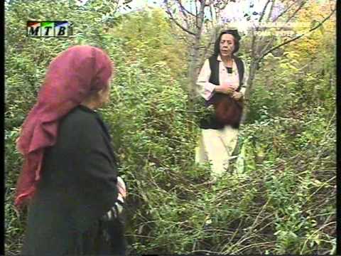 Македонски народни приказни-Триста гревови