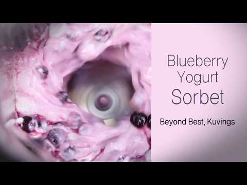 Jogurtovo-borůvkový sorbet ve vakuovém mixéru Kuvings