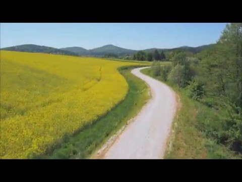 The Road of Life - The Spoken Word