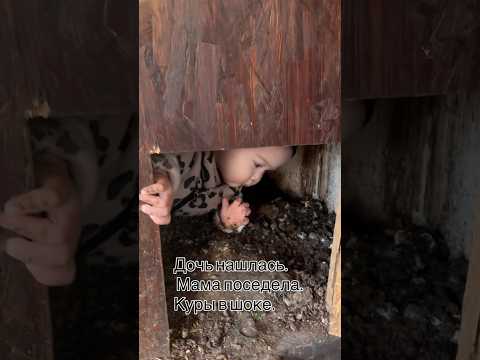 🤣🤣🤣🤣🤣 Вот это дааа #rek #tiktok #shorts #reels #edit #fyp #tbt #рек #тренд #дети #куры #comedy