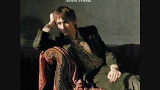 THE DIVINE COMEDY   Our mutual Friend