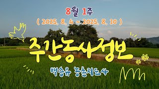 ✨주간농사정보 ] 8월 1째주 (2025. 8. 4. ~ 8. 10.)