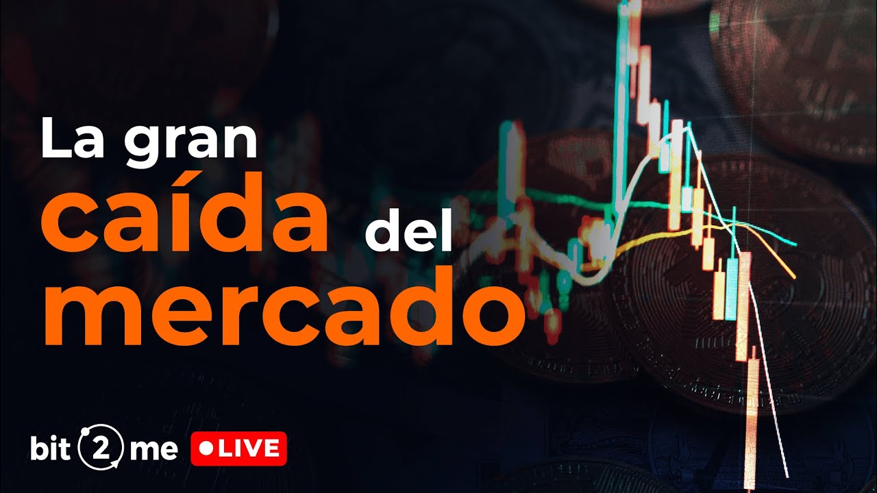 Interview with Alberto Mera y Adolfo Contreras 'Muloko' — Bit2Me Experts
