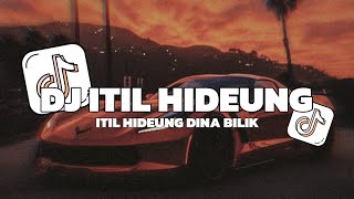 Download lagu DJ ITIL HIDEUNG VIRAL TIKTOK - ITIL HIDEUNG DINA BILIK REMIX - MOLAN RMX - DANZ WG (edit) mp3