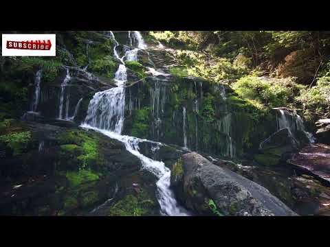 Hanu Dixit - Dreams Of River Ganga