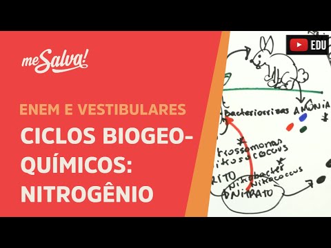 Me Salva! ECO28 - Ecologia - Ciclos biogeoquímicos: nitrogênio