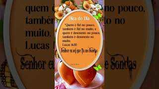 Dica do Dia 19/03  #lindamensagem #mensagem #bomdiaboatardeboanoite #gratidão