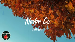 Pete Yorn - Never Go (Lyric video)