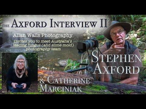 Photographing Fungi in Paradise - Part 2 of the Steven Axford Interview