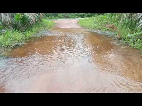 É um lugar fascinante. Ramal do Santo Antônio, município de São João de Pirabas PA 
