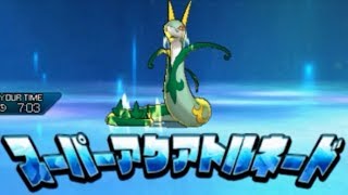 ポケモンUSUM　初めてのダブルバトル パワーシェア＆ガードシェア編