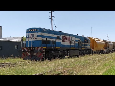 El 119 a cargo de la burrita 2002 pasando por Azul a los bocinazos 