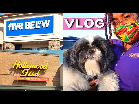 YouTube video about: Does five below allow dogs?