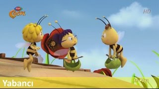 Arı Maya ► Yabancı