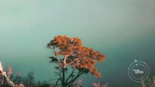 Frumhere - I Still Have All Of Our Old Texts