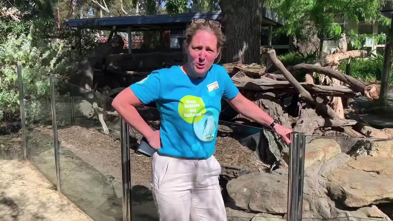 Michelle Bruggeman, Director at Melbourne Zoo recommends TalentCodeHR