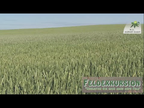 43. Feldexkursion: letzte PSM-Maßnahmen in Weizen - NU Agrar, 13.06.2016 (JD 8530)
