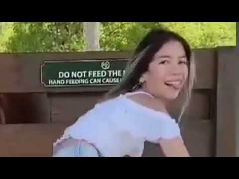 Acordei gostosa 💃(versão planeta das gêmeas)