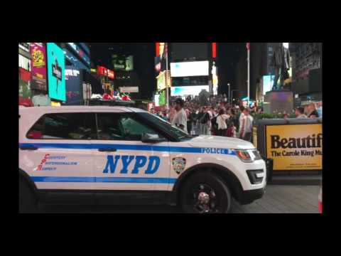 Dulcimerica 343 - "Big Apple Bing" - Mountain Dulcimer