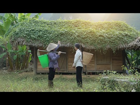 “Kind Old Lady Gives Homeless Girl (Tu Lam) a $1 Million House – The Truth Made Everyone Cry”