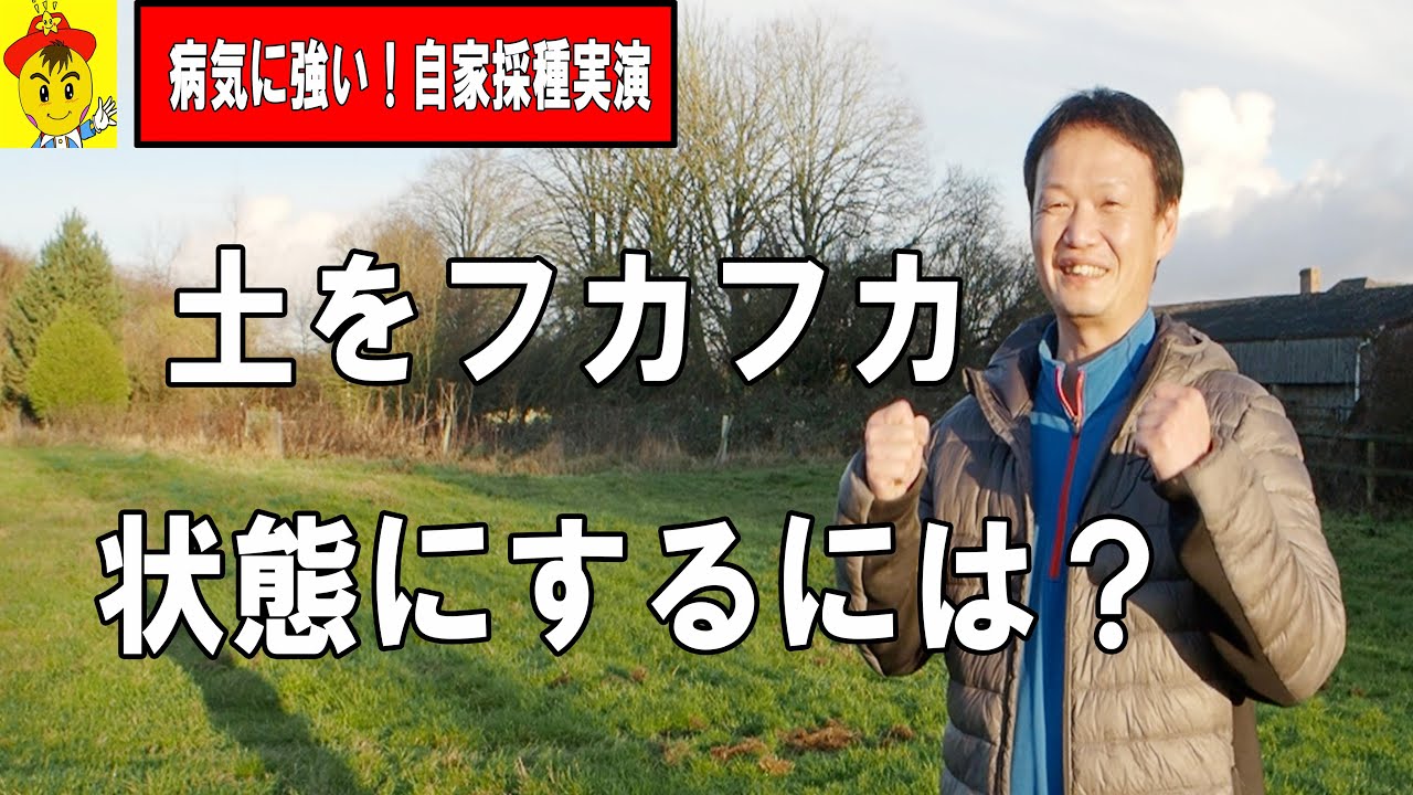 定植の土の見極めと自家採種の基本