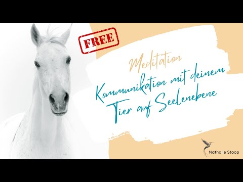 Kommunikation mit deinem Tier auf Seelenebene I Geführte Meditation I 18 Minuten